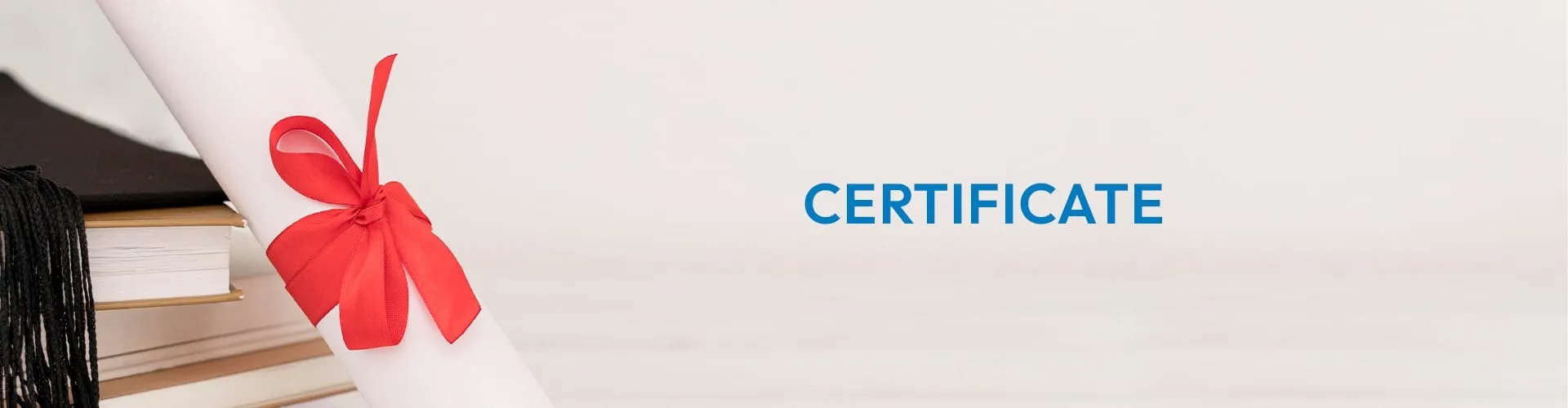 CERTFICATE 1 1
