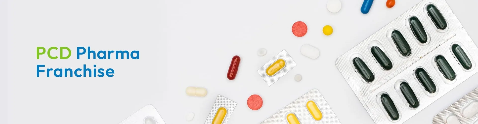 PCD Pharma INNER BANNER 1